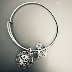 Alex and Ani Silver Delta Zeta Charm Bracelet
